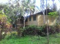 Photo 2 of 1,170sq.m. Farmlot Cool Climate Liliw Laguna