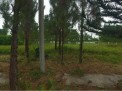 Photo 5 of 216sqm Lot for Sale in Savannah Crest B Iloilo City