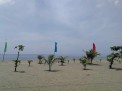 Photo 6 of Affordable Lots for Sale in Dagupan City near Beach