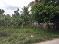 Photo 8 of lot near resorts in pandi bulacan