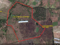 21 HECTARES , Php 270/sqm-negotiable, Peñaranda Nueva Ecija Philippines