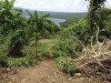 Photo 2 of Lot for Sale in Brgy. Maria Paz Tanauan City Batangas