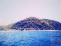 25 HA Island in Linapacan Palawan