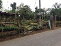 Photo 1 of LOT FOR SALE AT SILANG,CAVITE