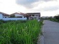 Photo 20 of HOUSE AND LOT FOR SALE IN PALAWAN