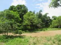 Photo 5 of 2 Hectare Lot Subic Castillejos Zambales SBMA CLARK ANGELES OLONGAPO