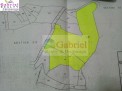 Photo 4 of Cebu Lot for subdivision project