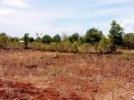 Photo 4 of Land for sell