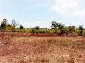 Photo 5 of Land for sell