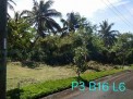 Photo 8 of Residential Farm Lot in Leisure Farms, Lemery Batangas (15 minutes away from Tagaytay)