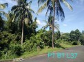 Photo 9 of Residential Farm Lot in Leisure Farms, Lemery Batangas (15 minutes away from Tagaytay)