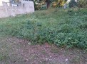 Photo 4 of Lot For Sale Residential Dasmarinas, Cavite