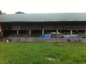 For Sale Piggery Farm with Income in Pandi Bulacan