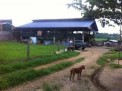 Photo 7 of For Sale Piggery Farm with Income in Pandi Bulacan