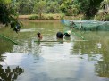 Photo 3 of Piggery farm with Fishpond in San Jose Del Monte Bulacan