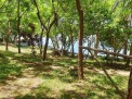 Photo 3 of LAKESIDE LOT FOR SALE: 600sqm on Lake Danao