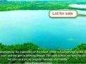 Photo 6 of LAKESIDE LOT FOR SALE: 600sqm on Lake Danao