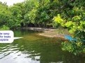 Photo 9 of LAKESIDE LOT FOR SALE: 600sqm on Lake Danao