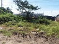 Photo 2 of For sale : 300 sqm Lot