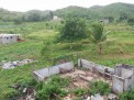 Photo 1 of Poultry and Piggery for sale including lot 30100sqm