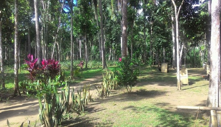 Photo 1 of 1,170sq.m. Farmlot Cool Climate Liliw Laguna