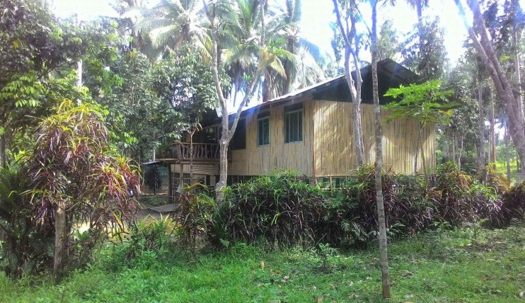 Photo 2 of 1,170sq.m. Farmlot Cool Climate Liliw Laguna