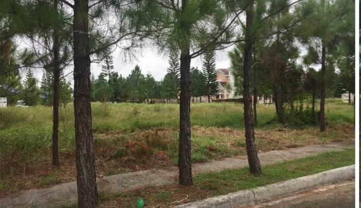 Photo 1 of 216sqm Lot for Sale in Savannah Crest B Iloilo City