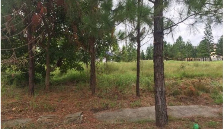 Photo 4 of 216sqm Lot for Sale in Savannah Crest B Iloilo City