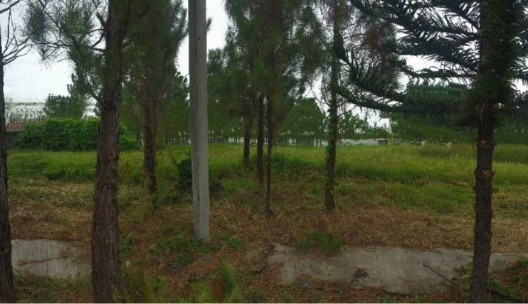 Photo 5 of 216sqm Lot for Sale in Savannah Crest B Iloilo City