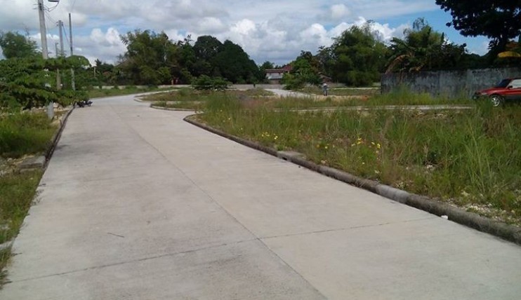 Photo 3 of lot for sale in liloan cebu