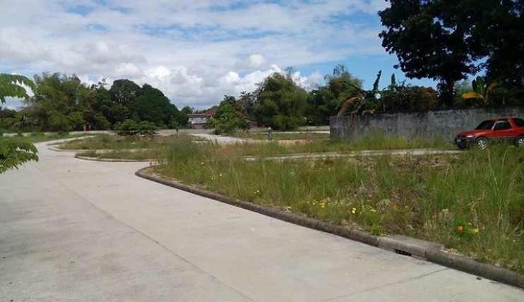 Photo 5 of lot for sale in liloan cebu