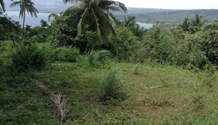 Photo 4 of Lot for Sale in Brgy. Maria Paz Tanauan City Batangas