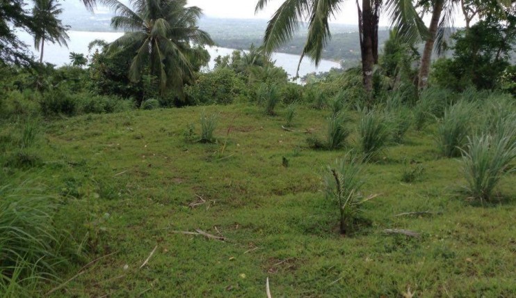 Photo 5 of Lot for Sale in Brgy. Maria Paz Tanauan City Batangas