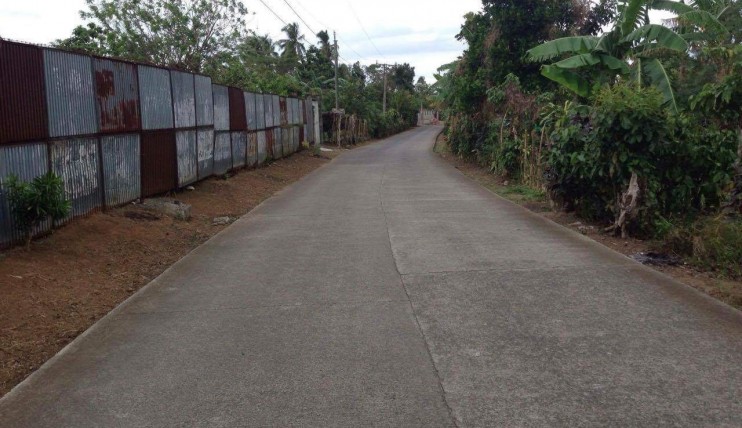 Photo 2 of LOT FOR SALE AT SILANG,CAVITE