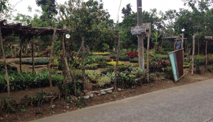 Photo 1 of LOT FOR SALE OR LEASE AT SILANG CAVITE