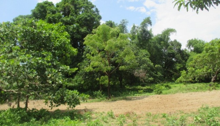 Photo 5 of 2 Hectare Lot Subic Castillejos Zambales SBMA CLARK ANGELES OLONGAPO