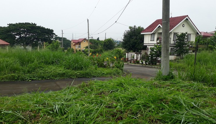 Photo 1 of 117 sqm Corner Lot For Sale