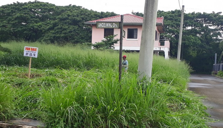 Photo 2 of 117 sqm Corner Lot For Sale