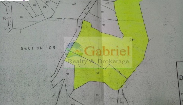 Photo 4 of Cebu Lot for subdivision project