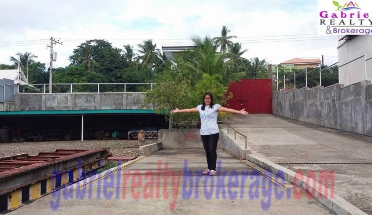 Photo 7 of Cebu Industrial Lot for sale