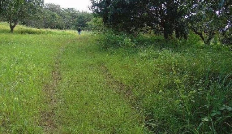 Photo 7 of FARM LOTS in San Antonio Bagac Bataan