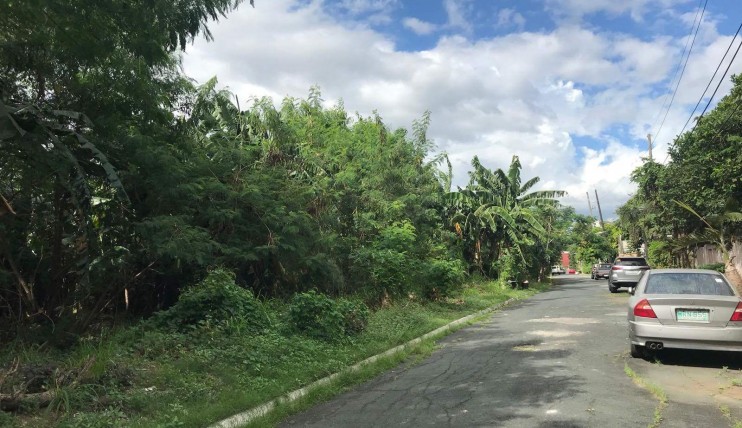 United Paranque Subdivision UPS 4 Lot For Sale