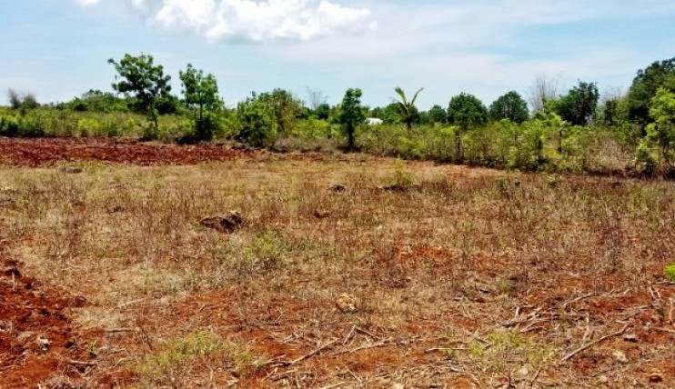 Photo 1 of Land for sell