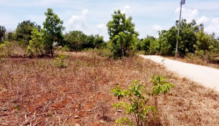 Photo 3 of Land for sell