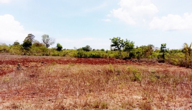 Photo 5 of Land for sell