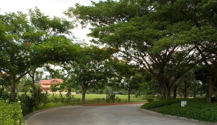 Photo 4 of Vacant Lot in Stonecrest (Exclusive Subdivision in San Pedro, Laguna)