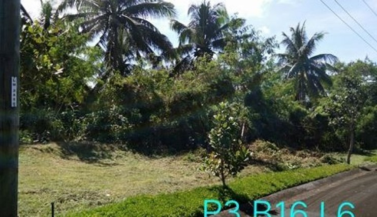 Photo 8 of Residential Farm Lot in Leisure Farms, Lemery Batangas (15 minutes away from Tagaytay)