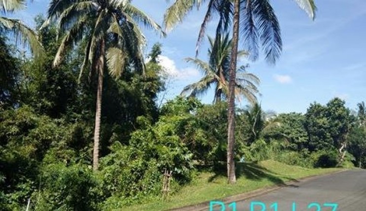 Photo 9 of Residential Farm Lot in Leisure Farms, Lemery Batangas (15 minutes away from Tagaytay)