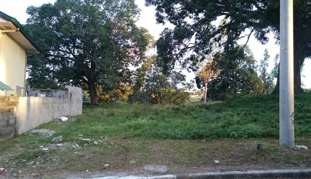 Photo 3 of Lot For Sale Residential Dasmarinas, Cavite