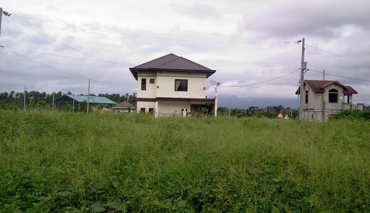 Photo 2 of Lot for Sale, Riverina Subdivision, San Pablo, Laguna